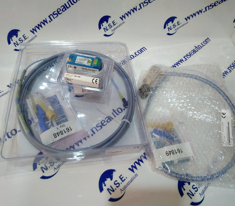 Bently Nevada 1900/65A 167699-02 panel 1900/65A-01-02-01-00-00 USA