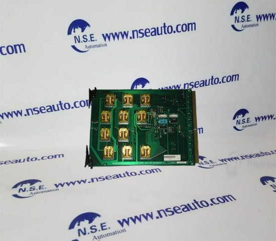 CC-PAIN01 51410069-175